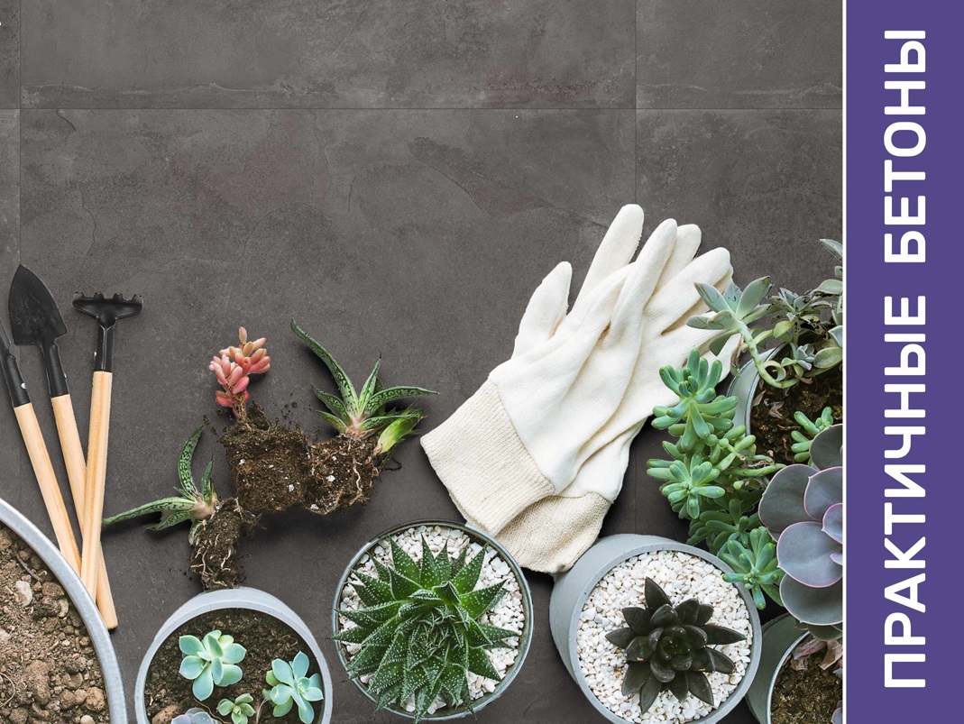 nLV42NHEefI.jpg nLV42NHEefI.jpg