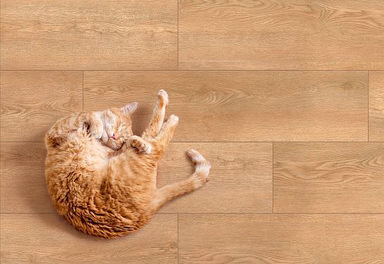 Новый формат керамогранита 20х80 | 12 коллекций от Global Tile