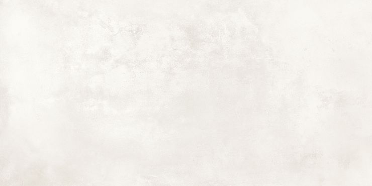 Керамогранит Onega GT408013506MR Светло-серый 40x80