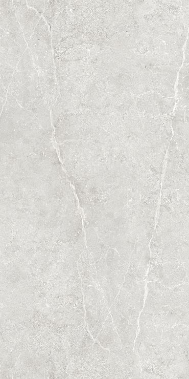 Керамогранит Ideal GT1206020506LGR Светло-серый 60x120