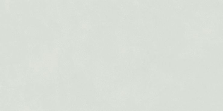 Керамогранит Мечта GT5010026717MR Мятный 50x100