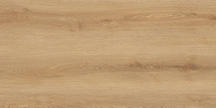 Керамогранит Вуди GT5010026902MCR бежевый 50x100