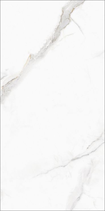 Керамогранит Monza GT120607803PR Белый 60x120