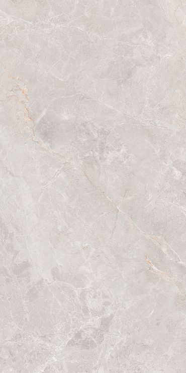 Керамогранит Montera GT1206018106MCR Светло-серый 60x120