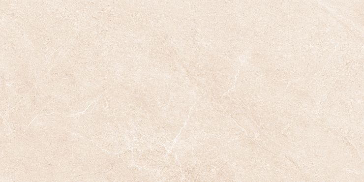 Керамогранит Амбани GT5010027502MSR Бежевый 50x100