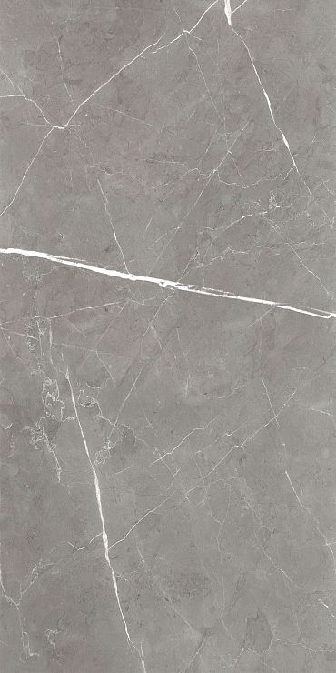 Керамогранит Encanto GT120603001SPR Серый 60x120