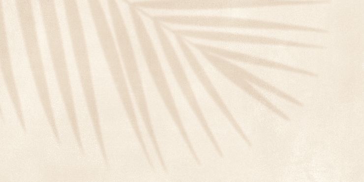 GT246VG Настенная плита Dominica_GT Беж. 30x60 пальма_ 1\58,32