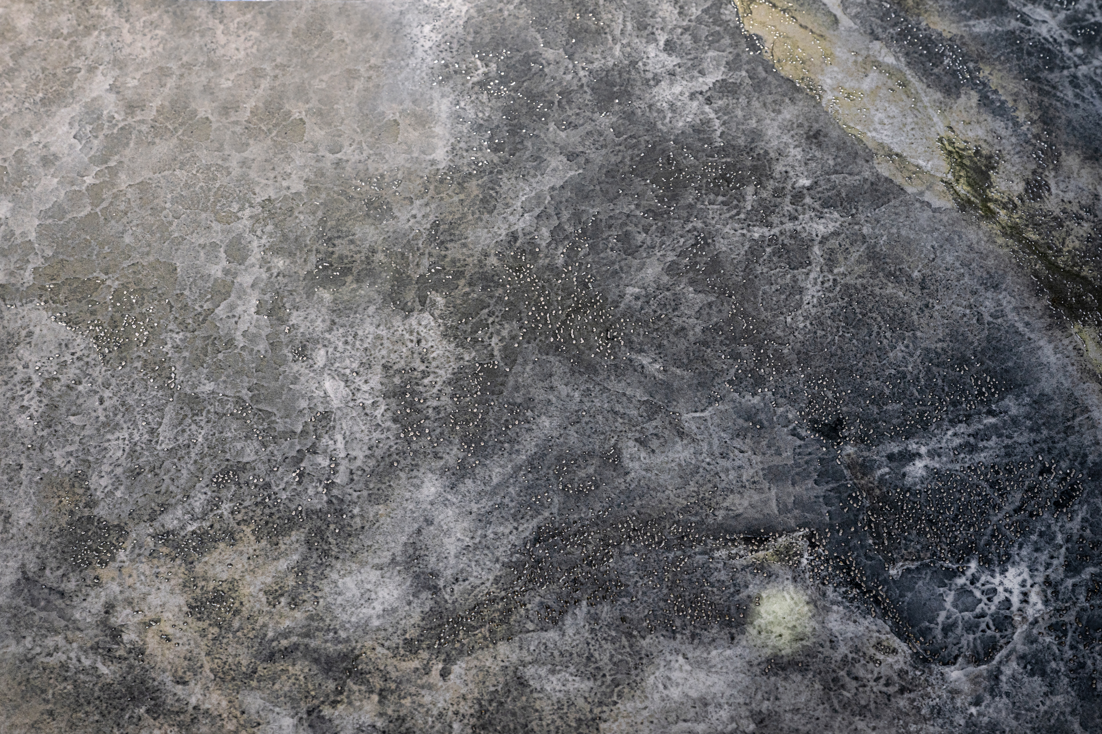 Блеск серебра